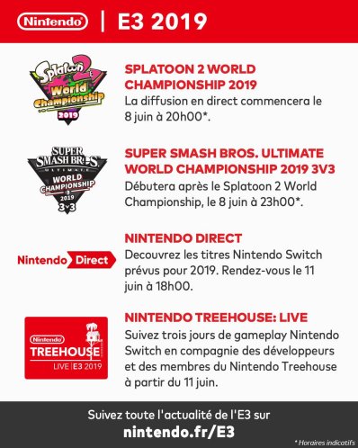E3 2019 Nintendo Switch Nintendo Direct programme blog gaming lageekroom