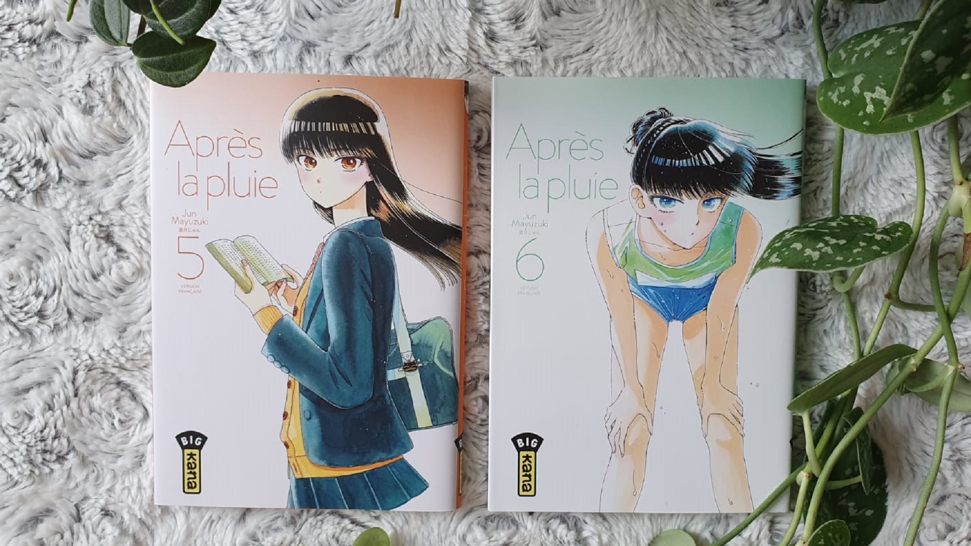 Avis Manga Kana : Après la pluie - Tomes 5 et 6 - Lageekroom