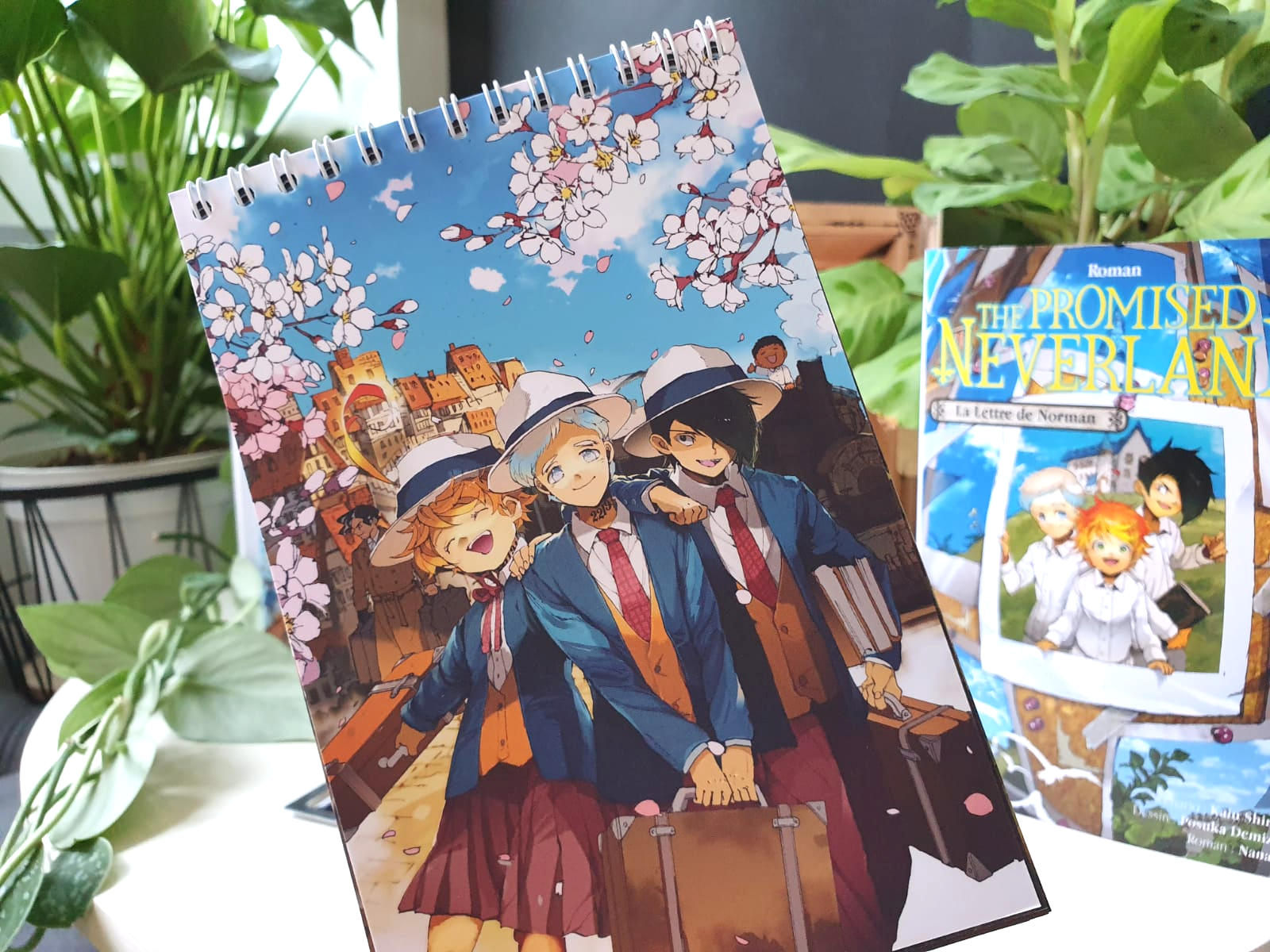 UNBOXING The Promised Neverland : le superbe collector arrive le 21 août chez Kazé blog manga