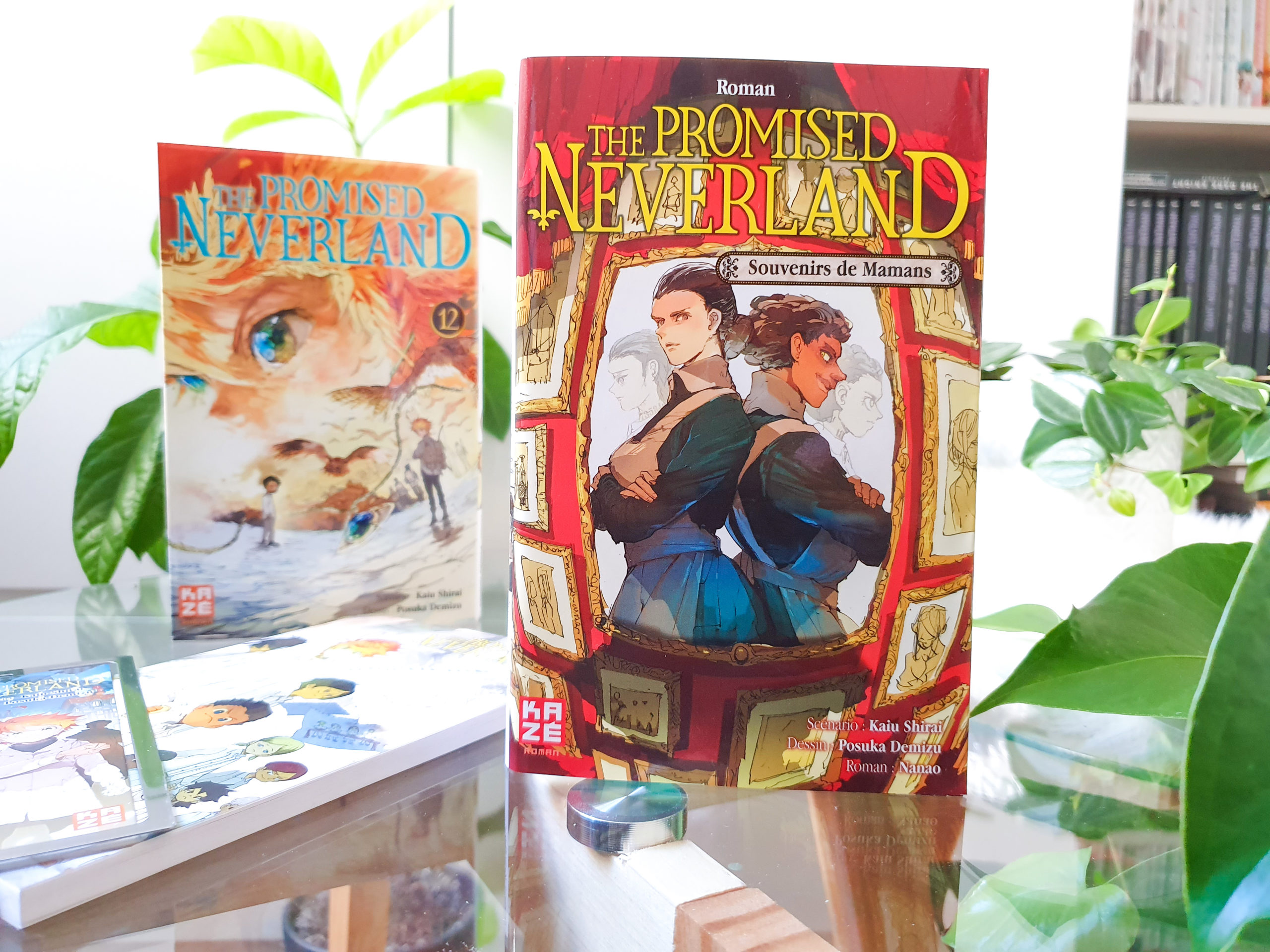 The promised neverland collector n2