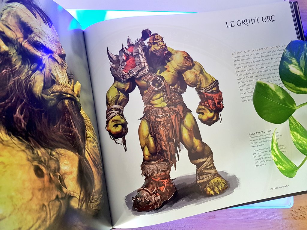 Avis : World of Warcraft : Cinematic Art chez Mana Books