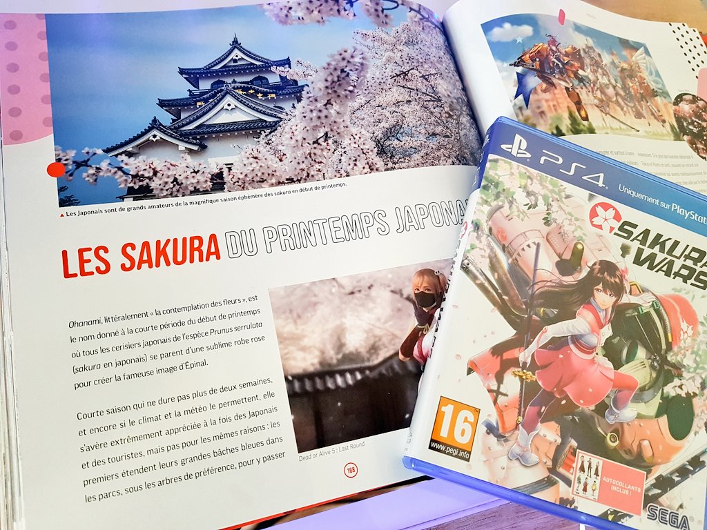 Avis Third Editions : Voyagez au Japon. Du pixel au réel blog gaming lageekroom