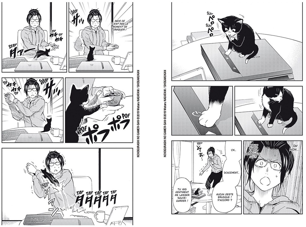 Avis Manga Doki-Doki : La Gameuse et son Chat - Tome 1