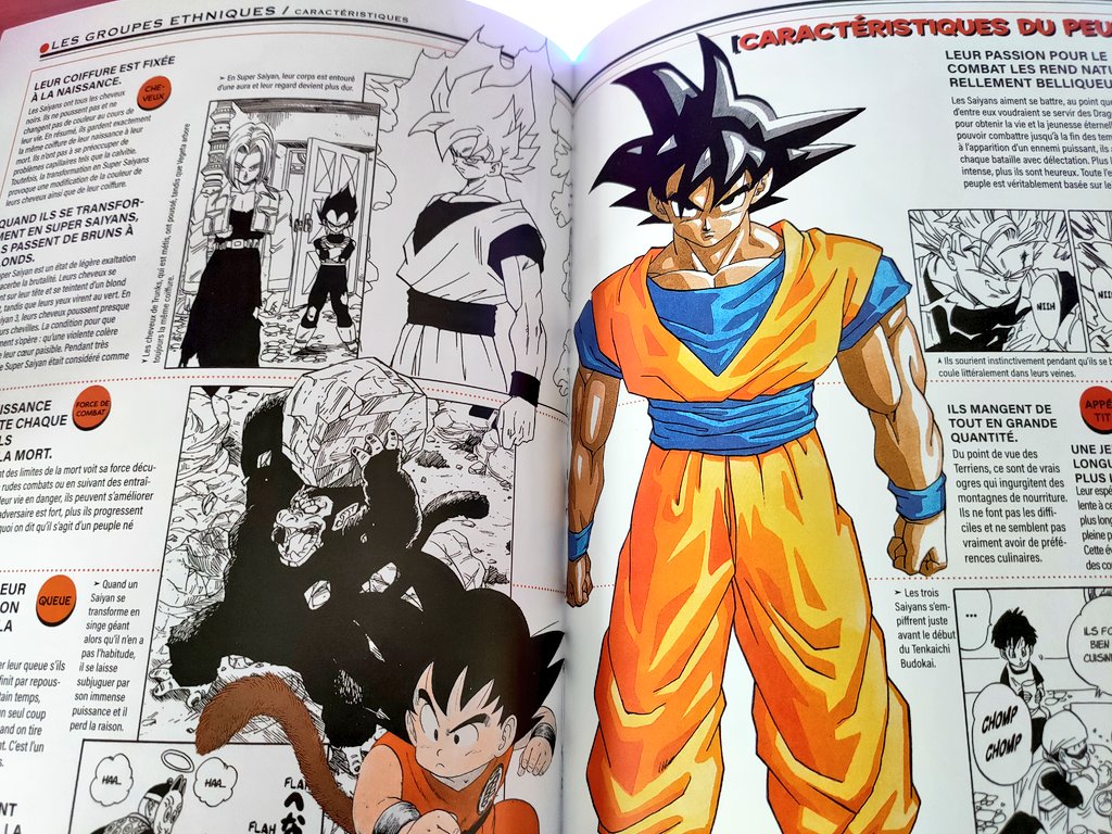 Unboxing : Dragon Ball - Le super livre - Tome 1 (éditions Glénat) photos extraits