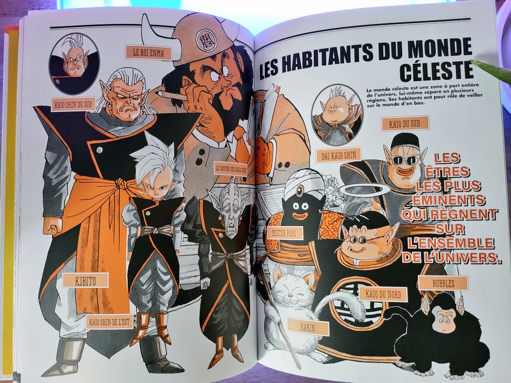 DRAGON BALL - LE SUPER LIVRE T1 : GUIDE DE L'HISTOIRE ET DU MONDE