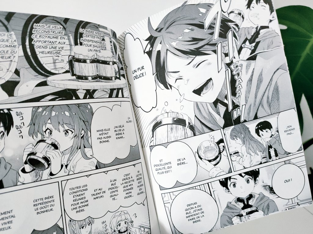 Avis Manga Doki-Doki : Le Prince Alchimiste - Tome 3
