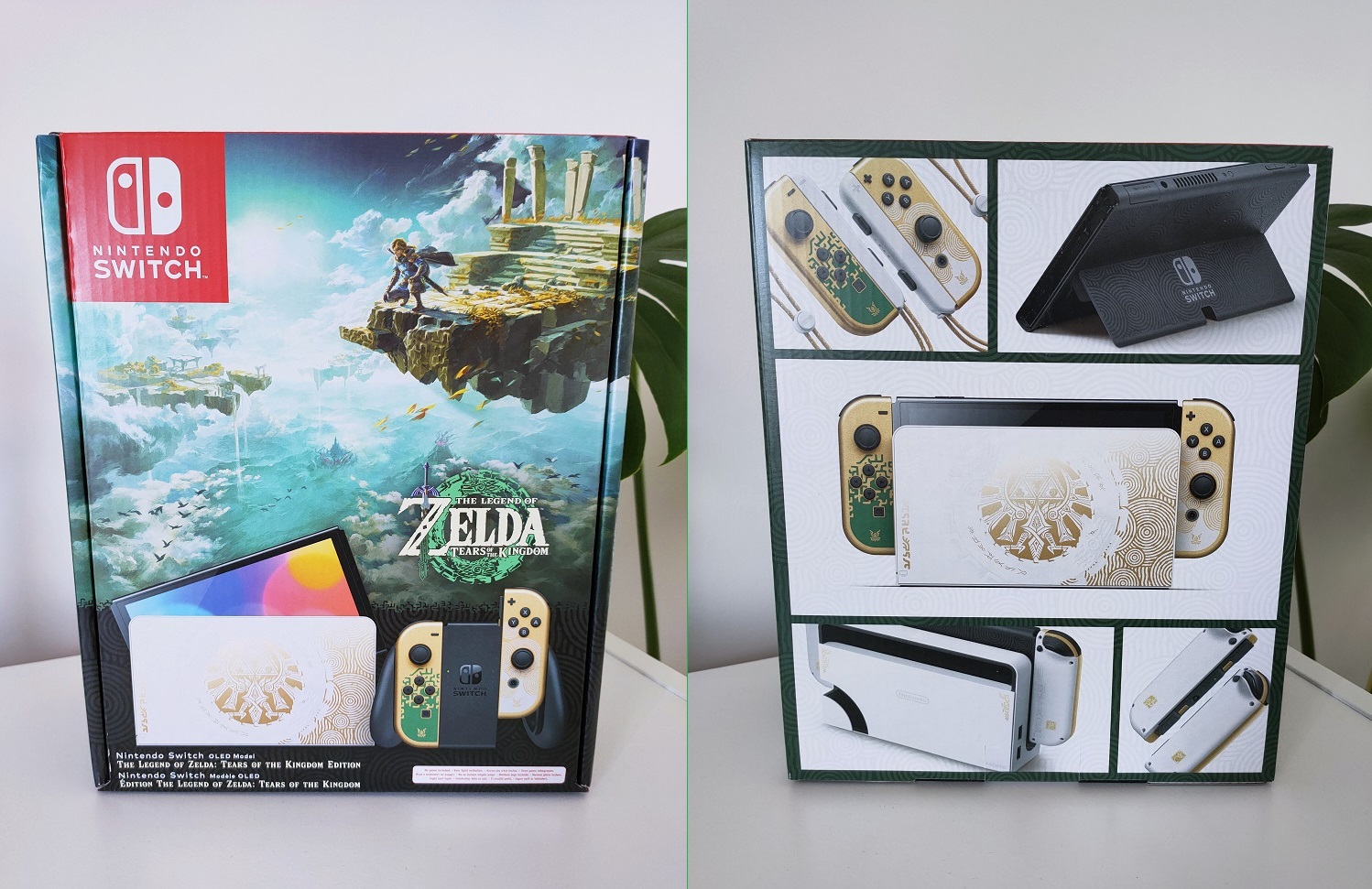 Nos photos de la Nintendo Switch "The Legend of Zelda : Tears of the Kingdom"