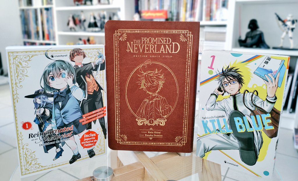 The Promised Neverland Edition Grace Field lageekroom.com