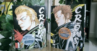 Avis manga Kana : Crows – Tomes 1 et 2