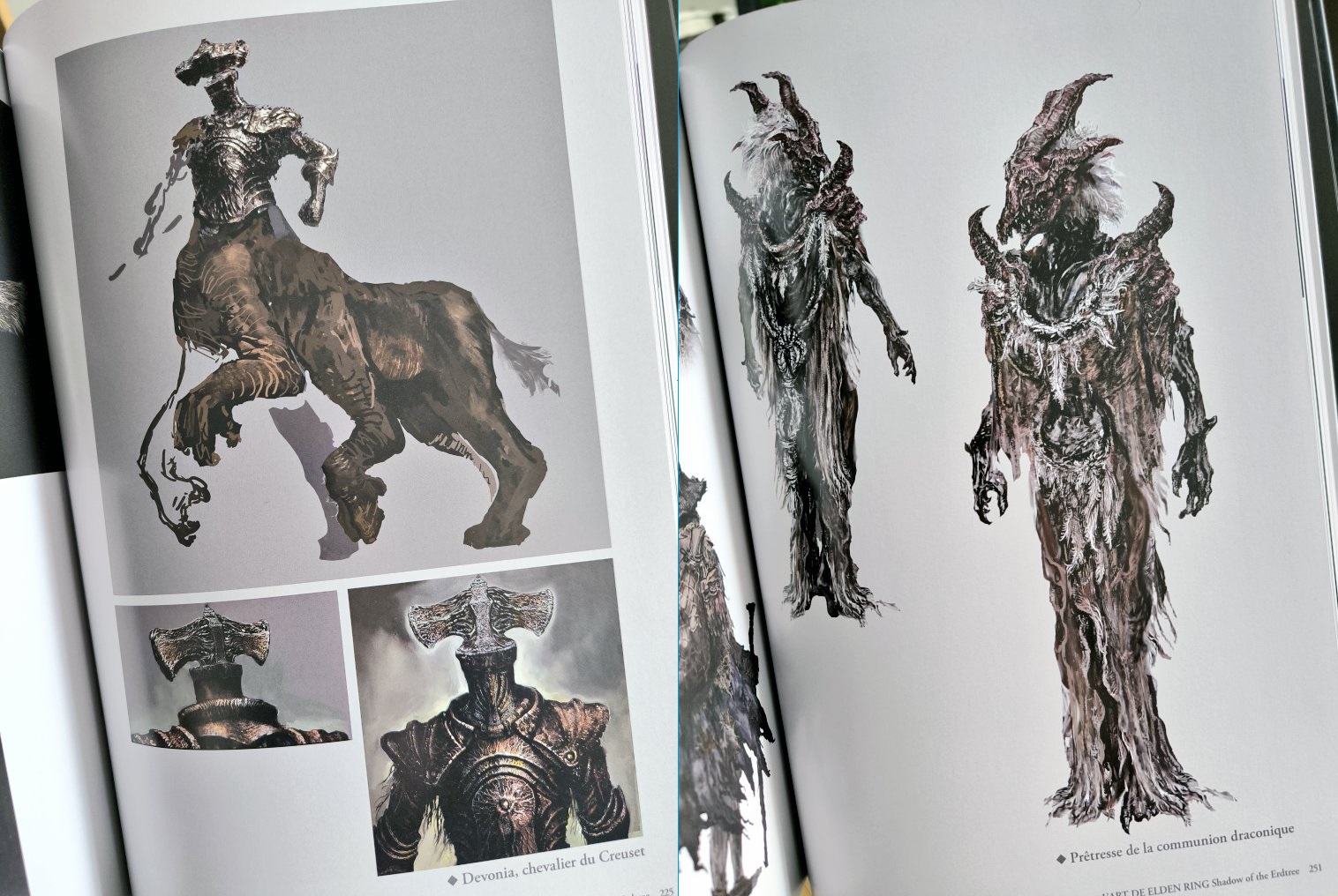 Avis : L'art de Elden Ring - Shadow of the Erdtree, un artbook de toute beauté chez Mana Books