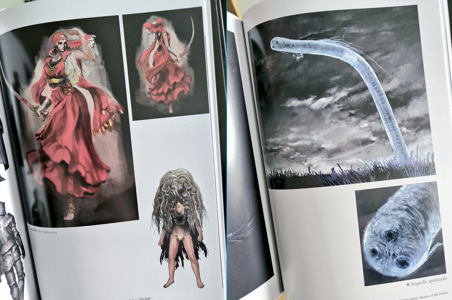 Avis : L'art de Elden Ring - Shadow of the Erdtree, un artbook de toute beauté chez Mana Books