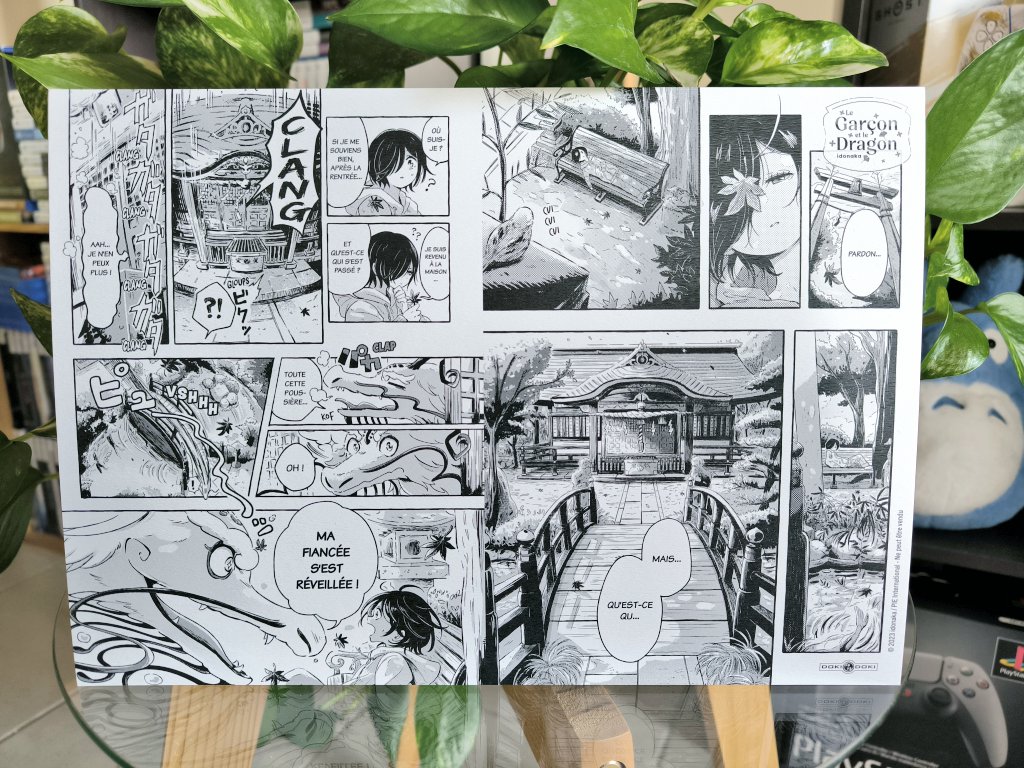 Avis & critique manga : Le Garçon et le Dragon (éditions Doki-Doki)