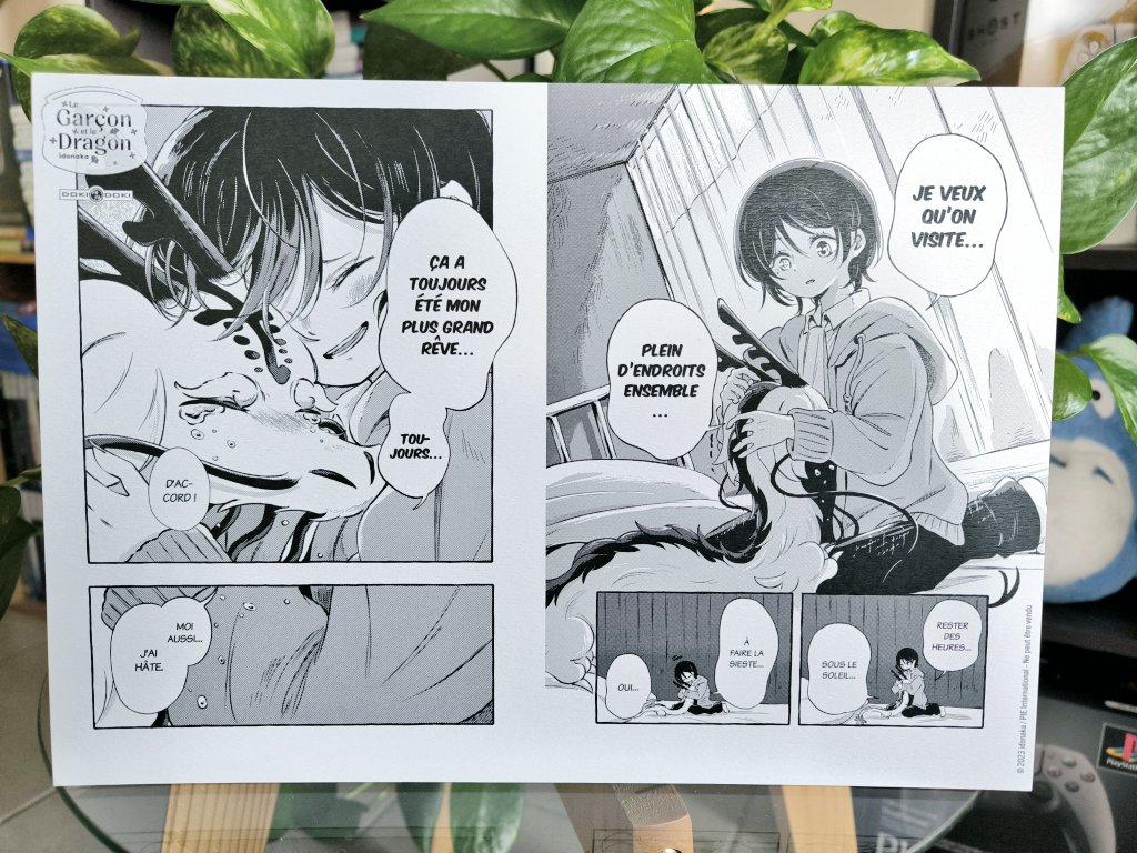 Avis & critique manga : Le Garçon et le Dragon (éditions Doki-Doki)