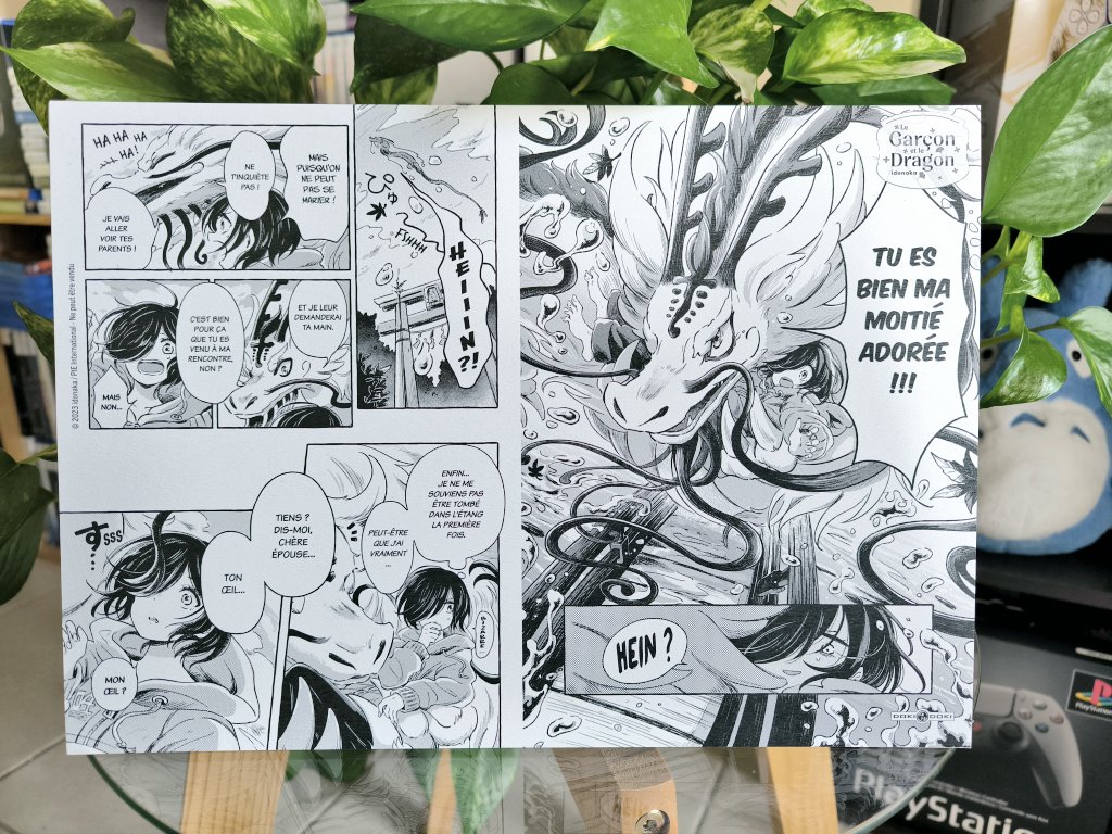 Avis & critique manga : Le Garçon et le Dragon (éditions Doki-Doki)