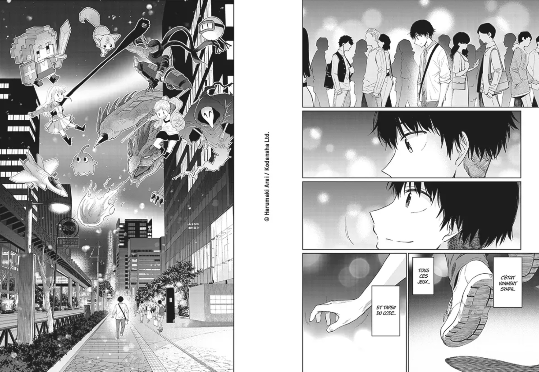 Developeur_mana books.extrait