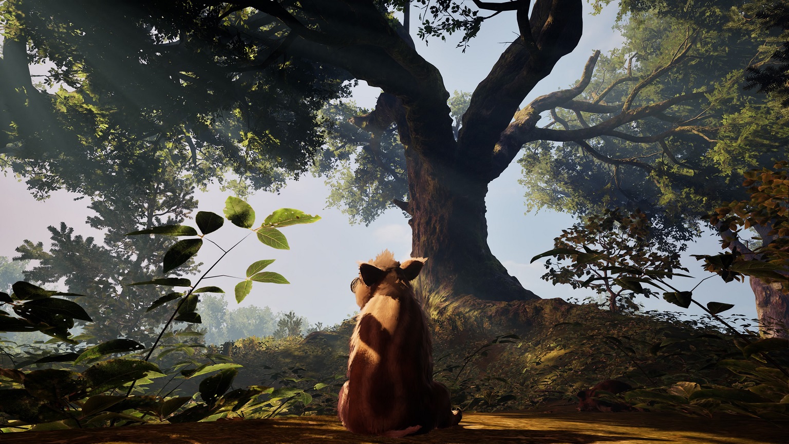 Adorable Adventures PS5 test screen