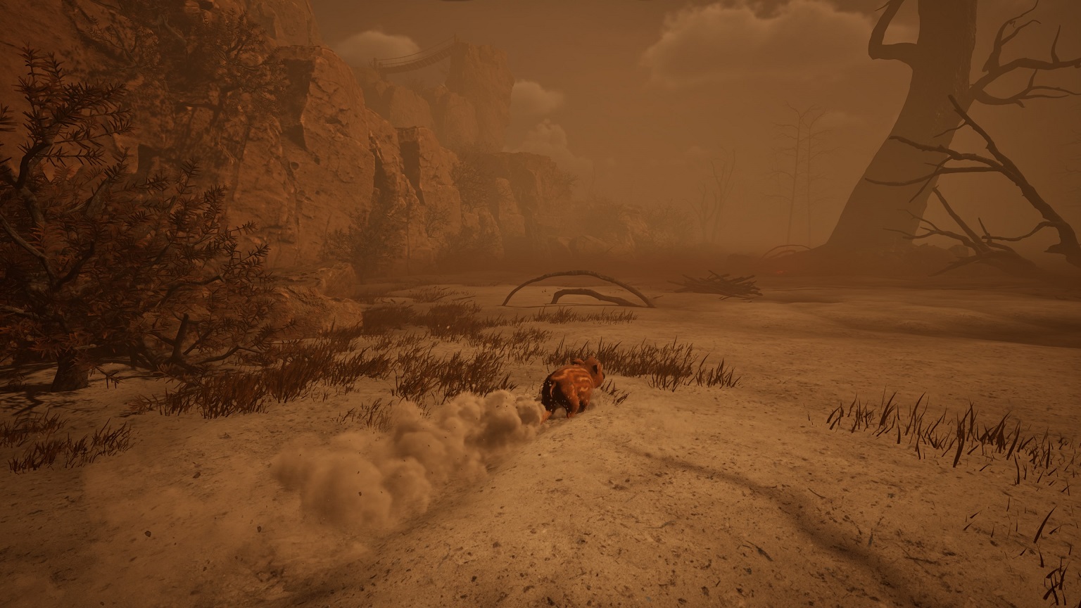 Adorable Adventures PS5 test screen