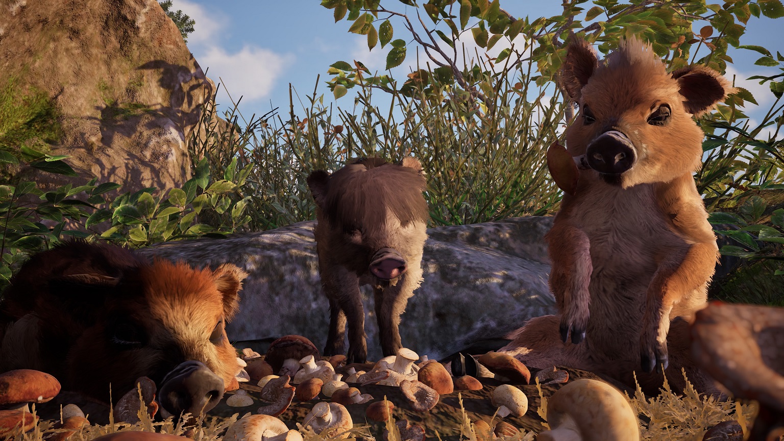Adorable Adventures PS5 test screen