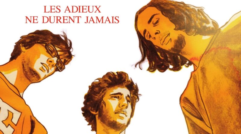 Avis BD Grand Angle : Les Adieux ne durent jamais (histoire complète de Jim et Laurent Bonneau)